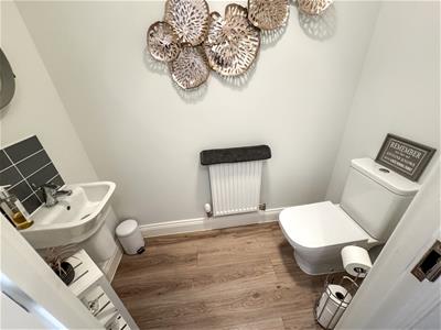 Picture 16